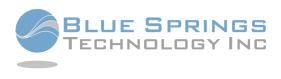 BlueSprings Logo